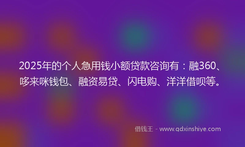 2025年的个人急用钱小额贷款咨询有：融360、哆来咪钱包、融资易贷、闪电购、洋洋借呗等。