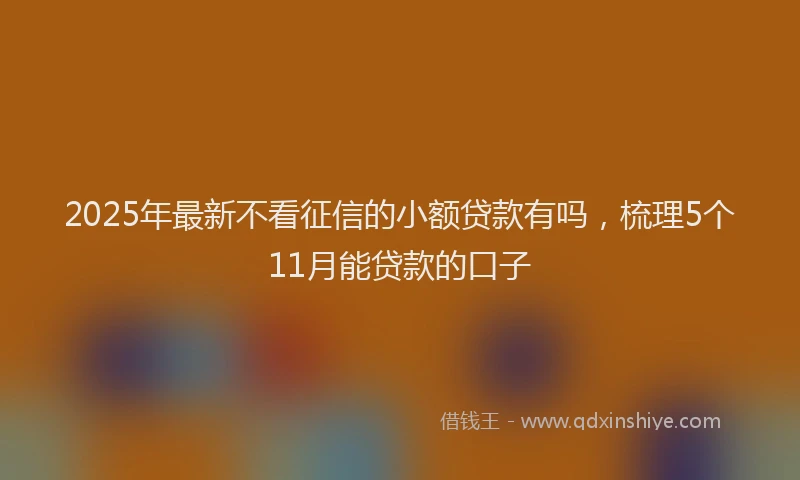 2025年最新不看征信的小额贷款有吗，梳理5个11月能贷款的口子