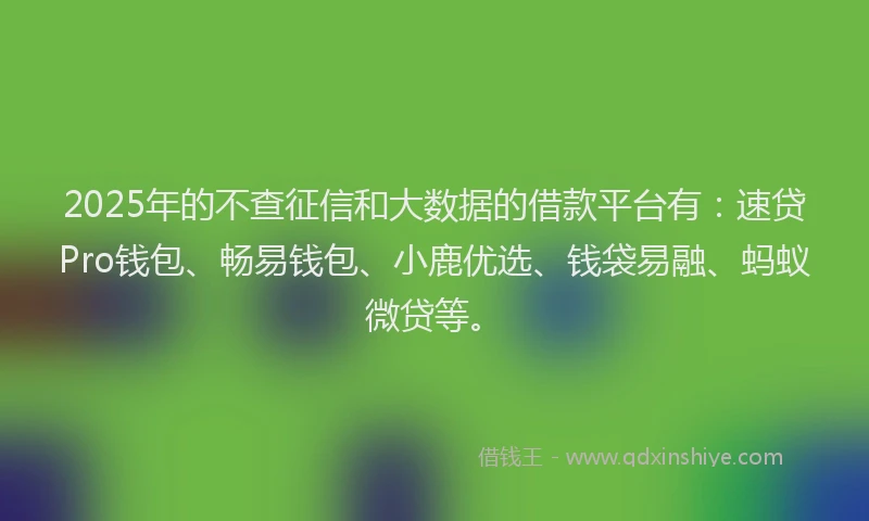 2025年的不查征信和大数据的借款平台有：速贷Pro钱包、畅易钱包、小鹿优选、钱袋易融、蚂蚁微贷等。