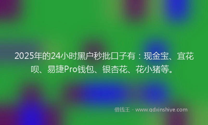 2025年的24小时黑户秒批口子有：现金宝、宜花呗、易捷Pro钱包、银杏花、花小猪等。