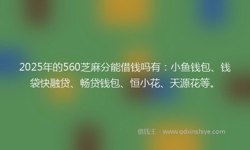 2025年的560芝麻分能借钱吗有：小鱼钱包、钱袋快融贷、畅贷钱包、恒小花、天源花等。