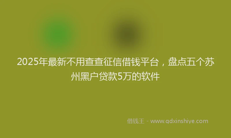 2025年最新不用查查征信借钱平台，盘点五个苏州黑户贷款5万的软件