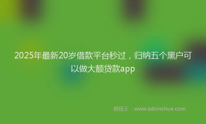 2025年最新20岁借款平台秒过，归纳五个黑户可以做大额贷款app