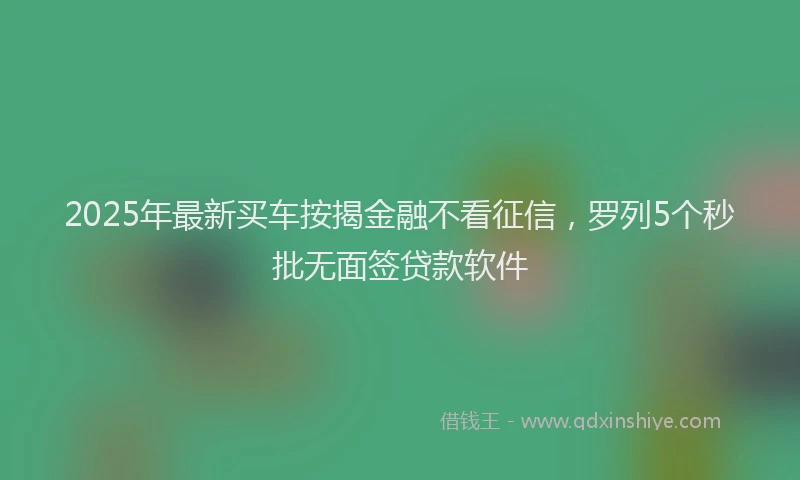 2025年最新买车按揭金融不看征信，罗列5个秒批无面签贷款软件