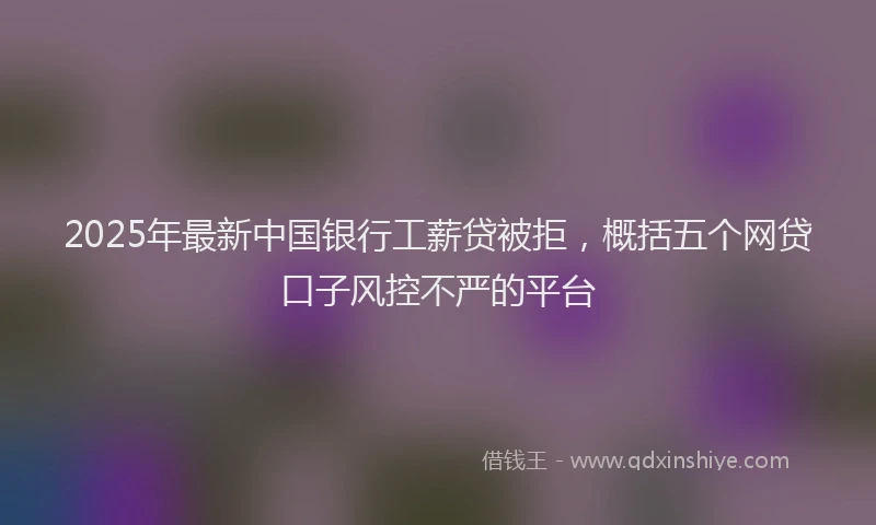 2025年最新中国银行工薪贷被拒，概括五个网贷口子风控不严的平台