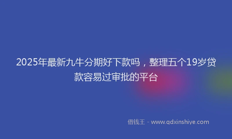2025年最新九牛分期好下款吗，整理五个19岁贷款容易过审批的平台