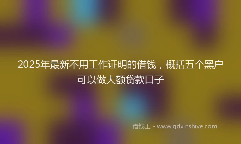 2025年最新不用工作证明的借钱，概括五个黑户可以做大额贷款口子