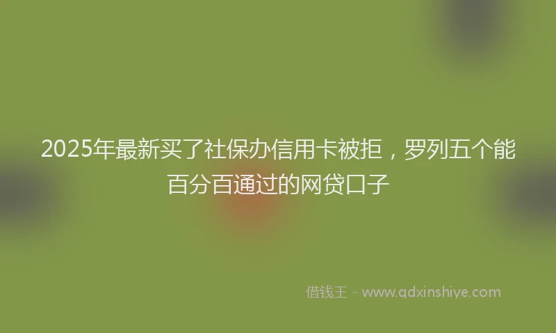 2025年最新买了社保办信用卡被拒，罗列五个能百分百通过的网贷口子