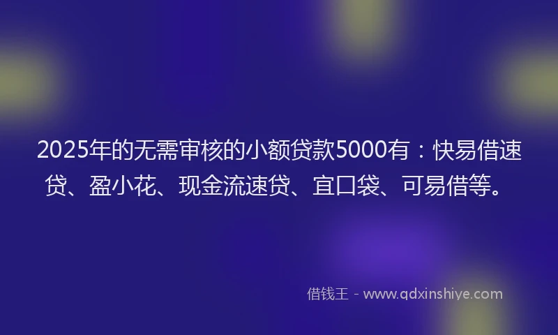 2025年的无需审核的小额贷款5000有：快易借速贷、盈小花、现金流速贷、宜口袋、可易借等。