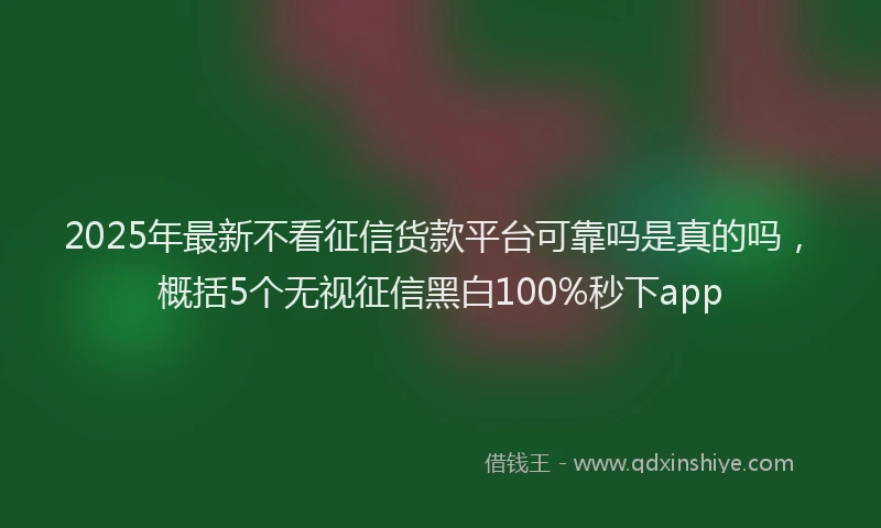 2025年最新不看征信货款平台可靠吗是真的吗，概括5个无视征信黑白100%秒下app