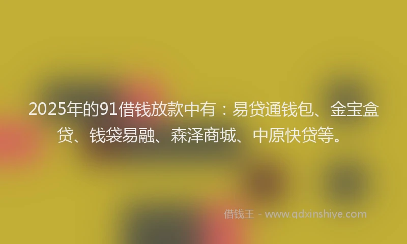 2025年的91借钱放款中有：易贷通钱包、金宝盒贷、钱袋易融、森泽商城、中原快贷等。