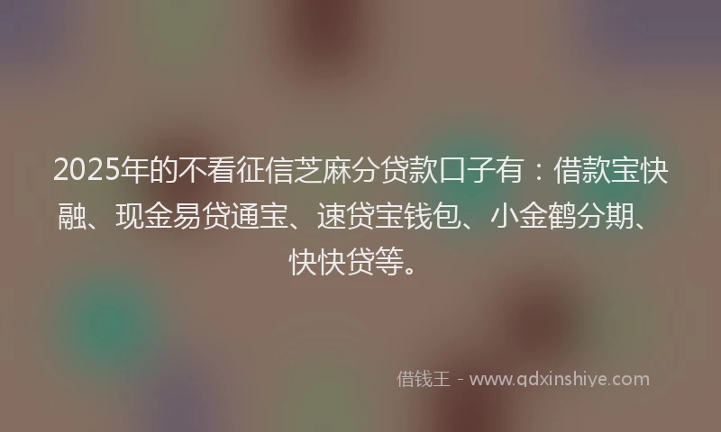 2025年的不看征信芝麻分贷款口子有：借款宝快融、现金易贷通宝、速贷宝钱包、小金鹤分期、快快贷等。