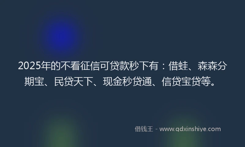 2025年的不看征信可贷款秒下有：借蛙、森森分期宝、民贷天下、现金秒贷通、信贷宝贷等。