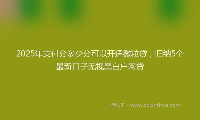 2025年支付分多少分可以开通微粒贷，归纳5个最新口子无视黑白户网贷