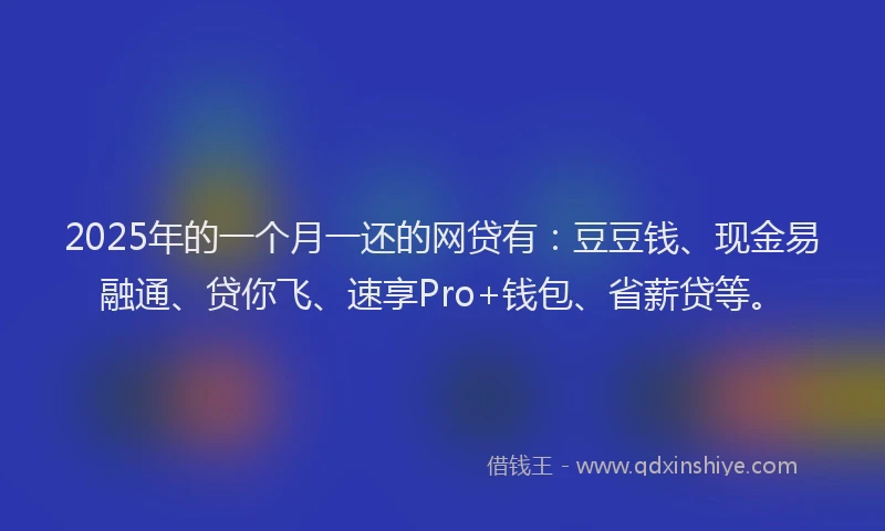 2025年的一个月一还的网贷有：豆豆钱、现金易融通、贷你飞、速享Pro+钱包、省薪贷等。