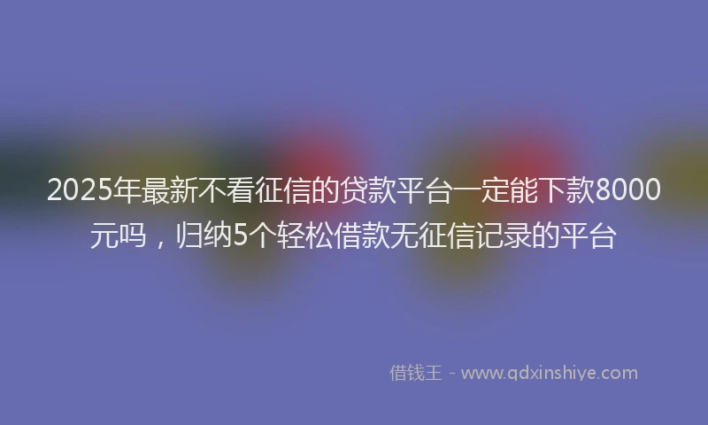 2025年最新不看征信的贷款平台一定能下款8000元吗，归纳5个轻松借款无征信记录的平台