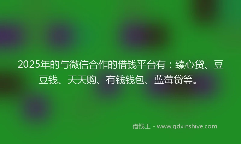 2025年的与微信合作的借钱平台有：臻心贷、豆豆钱、天天购、有钱钱包、蓝莓贷等。