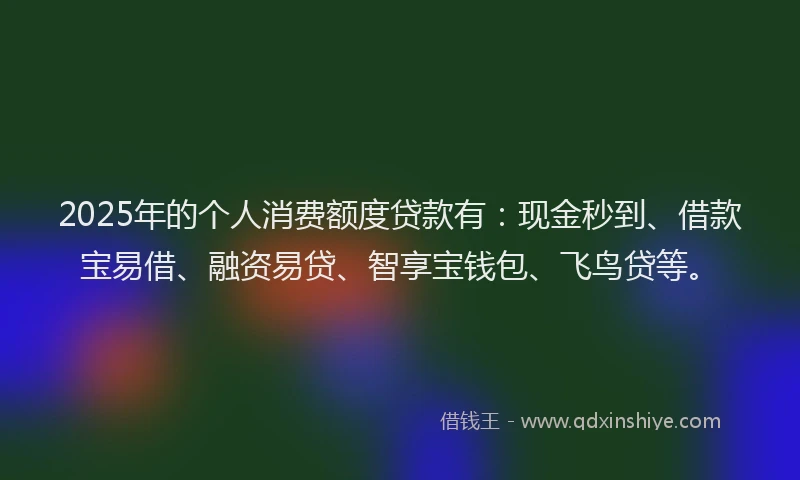 2025年的个人消费额度贷款有：现金秒到、借款宝易借、融资易贷、智享宝钱包、飞鸟贷等。