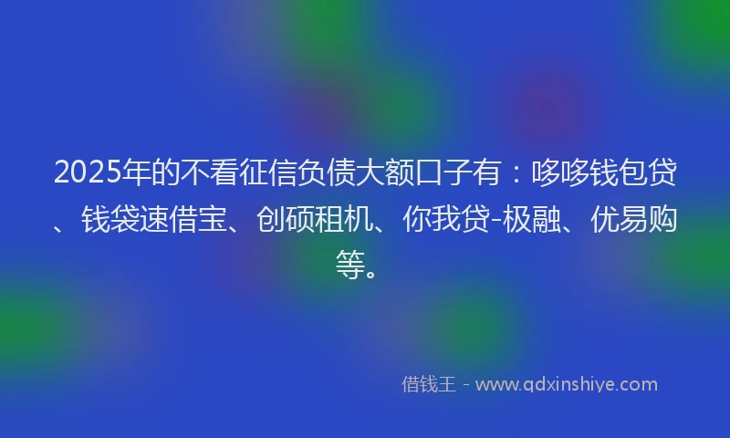 2025年的不看征信负债大额口子有：哆哆钱包贷、钱袋速借宝、创硕租机、你我贷-极融、优易购等。