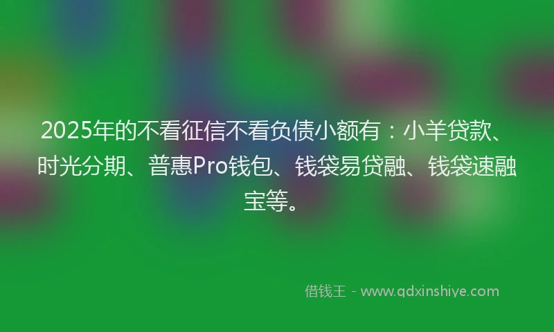 2025年的不看征信不看负债小额有：小羊贷款、时光分期、普惠Pro钱包、钱袋易贷融、钱袋速融宝等。