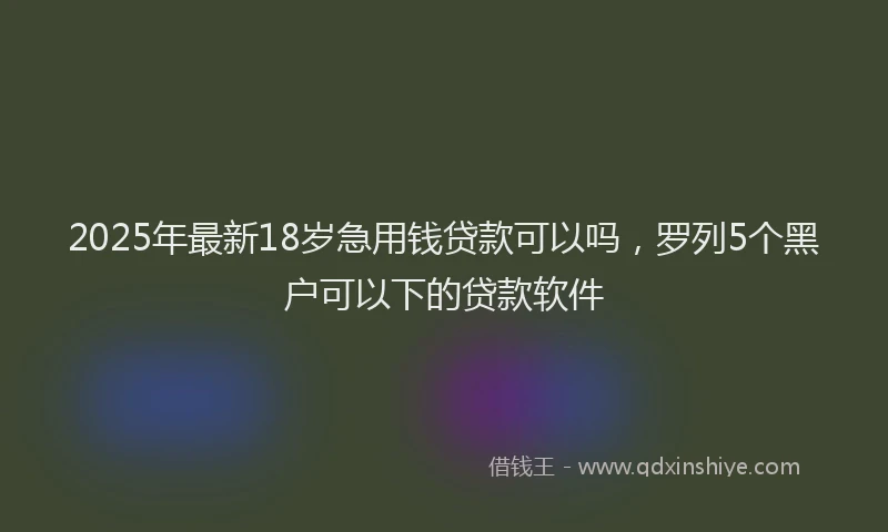 2025年最新18岁急用钱贷款可以吗，罗列5个黑户可以下的贷款软件