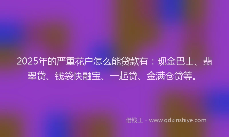 2025年的严重花户怎么能贷款有：现金巴士、翡翠贷、钱袋快融宝、一起贷、金满仓贷等。