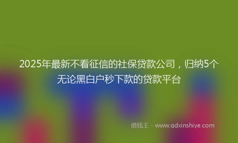 2025年最新不看征信的社保贷款公司，归纳5个无论黑白户秒下款的贷款平台
