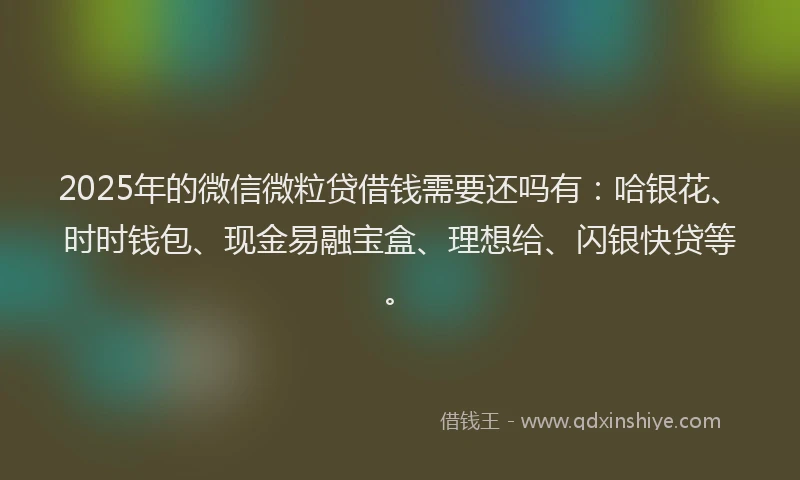 2025年的微信微粒贷借钱需要还吗有：哈银花、时时钱包、现金易融宝盒、理想给、闪银快贷等。