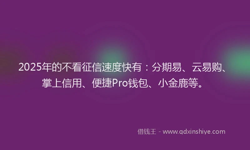 2025年的不看征信速度快有：分期易、云易购、掌上信用、便捷Pro钱包、小金鹿等。