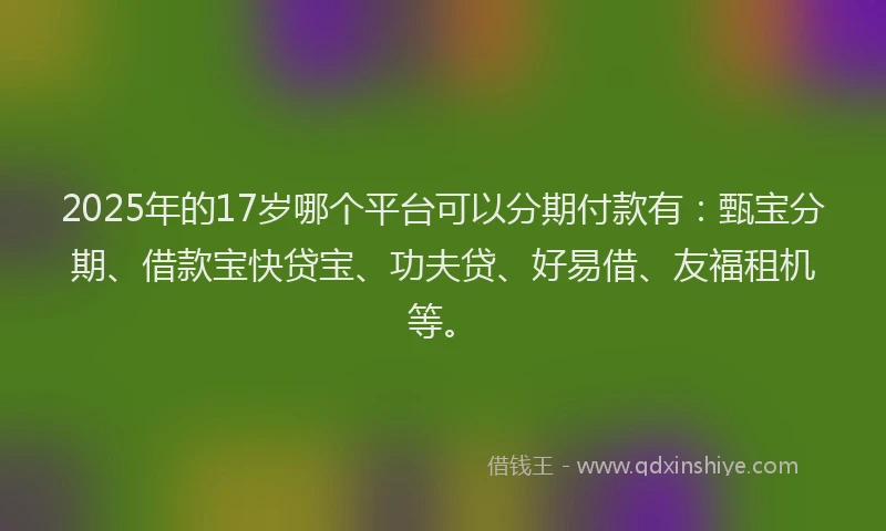 2025年的17岁哪个平台可以分期付款有：甄宝分期、借款宝快贷宝、功夫贷、好易借、友福租机等。