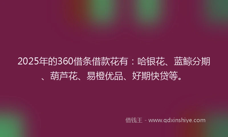2025年的360借条借款花有：哈银花、蓝鲸分期、葫芦花、易橙优品、好期快贷等。