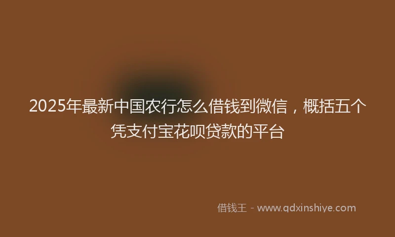 2025年最新中国农行怎么借钱到微信，概括五个凭支付宝花呗贷款的平台