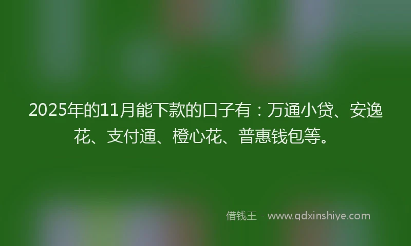 2025年的11月能下款的口子有：万通小贷、安逸花、支付通、橙心花、普惠钱包等。
