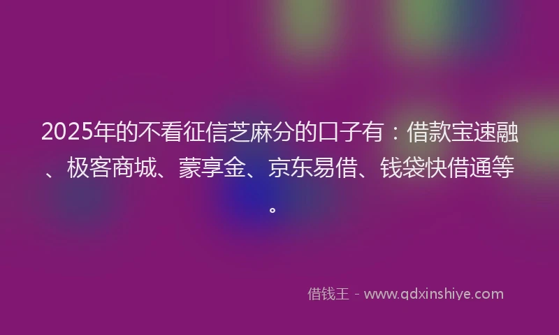 2025年的不看征信芝麻分的口子有：借款宝速融、极客商城、蒙享金、京东易借、钱袋快借通等。