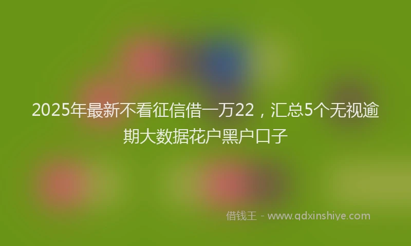 2025年最新不看征信借一万22，汇总5个无视逾期大数据花户黑户口子