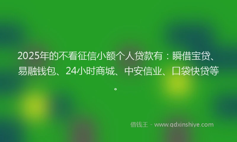 2025年的不看征信小额个人贷款有：瞬借宝贷、易融钱包、24小时商城、中安信业、口袋快贷等。