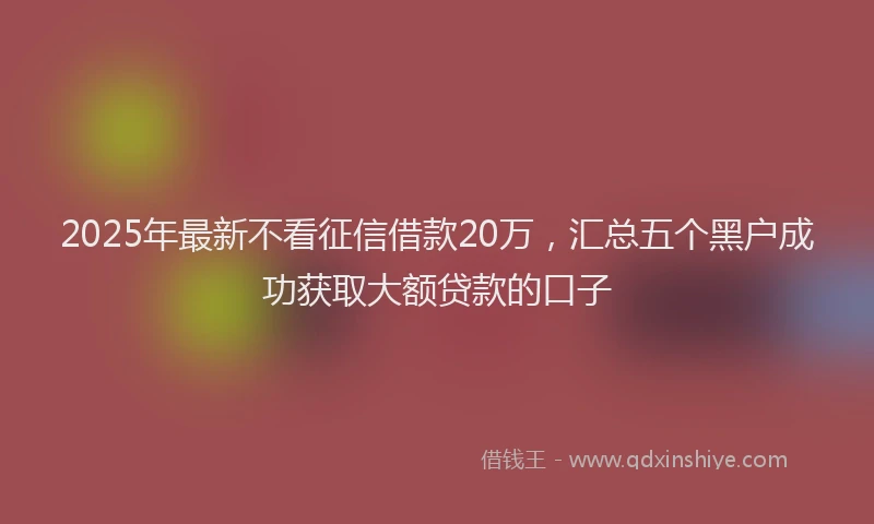2025年最新不看征信借款20万，汇总五个黑户成功获取大额贷款的口子