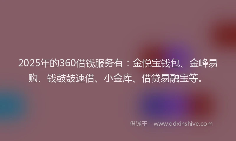 2025年的360借钱服务有：金悦宝钱包、金峰易购、钱鼓鼓速借、小金库、借贷易融宝等。