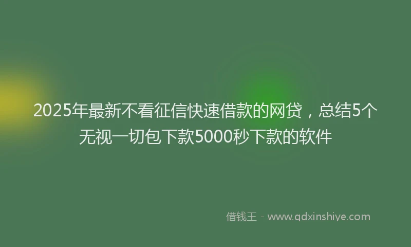 2025年最新不看征信快速借款的网贷，总结5个无视一切包下款5000秒下款的软件