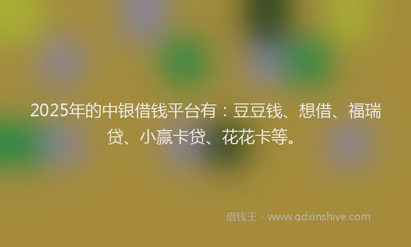 2025年的中银借钱平台有：豆豆钱、想借、福瑞贷、小赢卡贷、花花卡等。