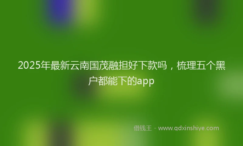 2025年最新云南国茂融担好下款吗，梳理五个黑户都能下的app