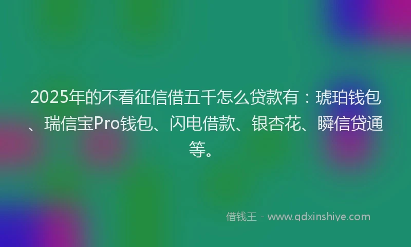 2025年的不看征信借五千怎么贷款有：琥珀钱包、瑞信宝Pro钱包、闪电借款、银杏花、瞬信贷通等。
