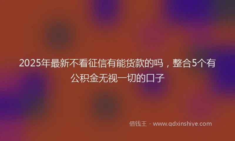 2025年最新不看征信有能货款的吗，整合5个有公积金无视一切的口子