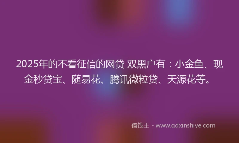2025年的不看征信的网贷 双黑户有：小金鱼、现金秒贷宝、随易花、腾讯微粒贷、天源花等。