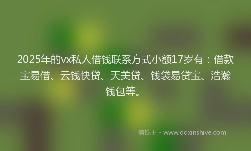 2025年的vx私人借钱联系方式小额17岁有：借款宝易借、云钱快贷、天美贷、钱袋易贷宝、浩瀚钱包等。