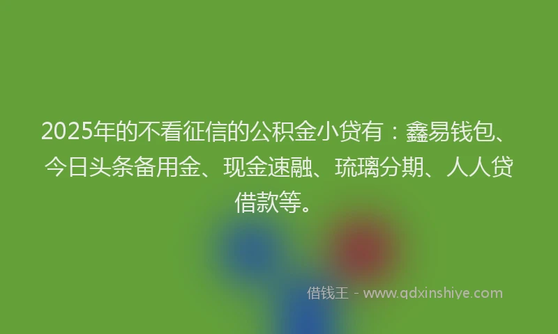 2025年的不看征信的公积金小贷有：鑫易钱包、今日头条备用金、现金速融、琉璃分期、人人贷借款等。