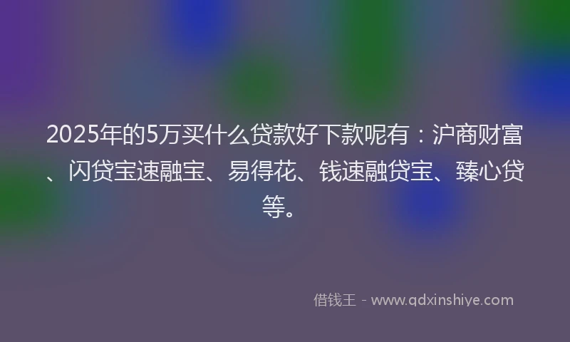 2025年的5万买什么贷款好下款呢有：沪商财富、闪贷宝速融宝、易得花、钱速融贷宝、臻心贷等。