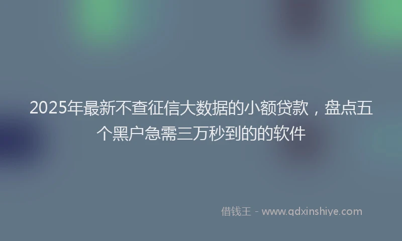 2025年最新不查征信大数据的小额贷款，盘点五个黑户急需三万秒到的的软件