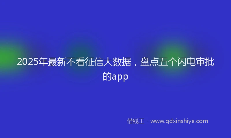 2025年最新不看征信大数据，盘点五个闪电审批的app