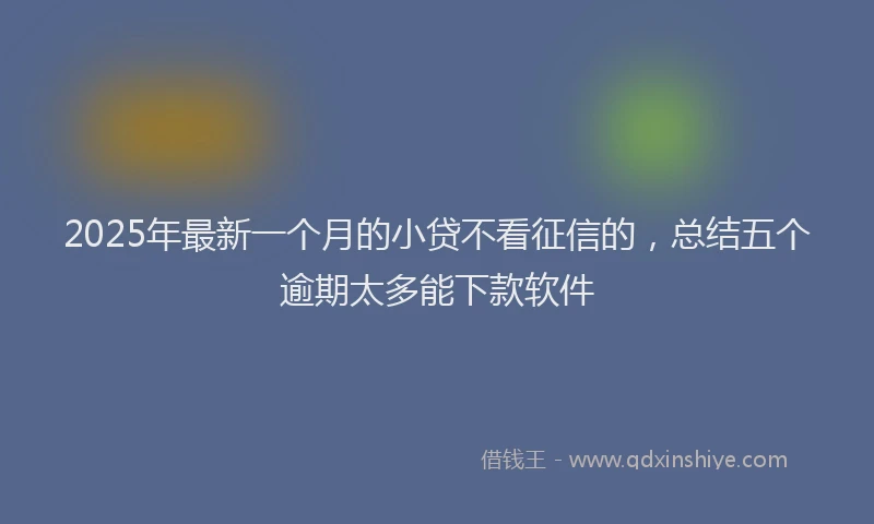 2025年最新一个月的小贷不看征信的，总结五个逾期太多能下款软件